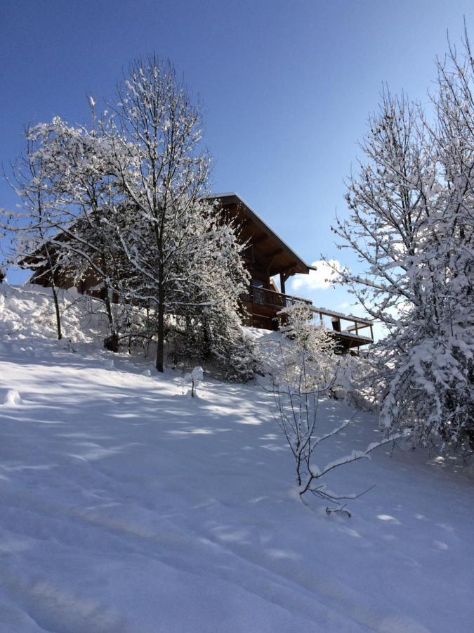 莫尔济讷Chalet Chamois别墅 外观 照片