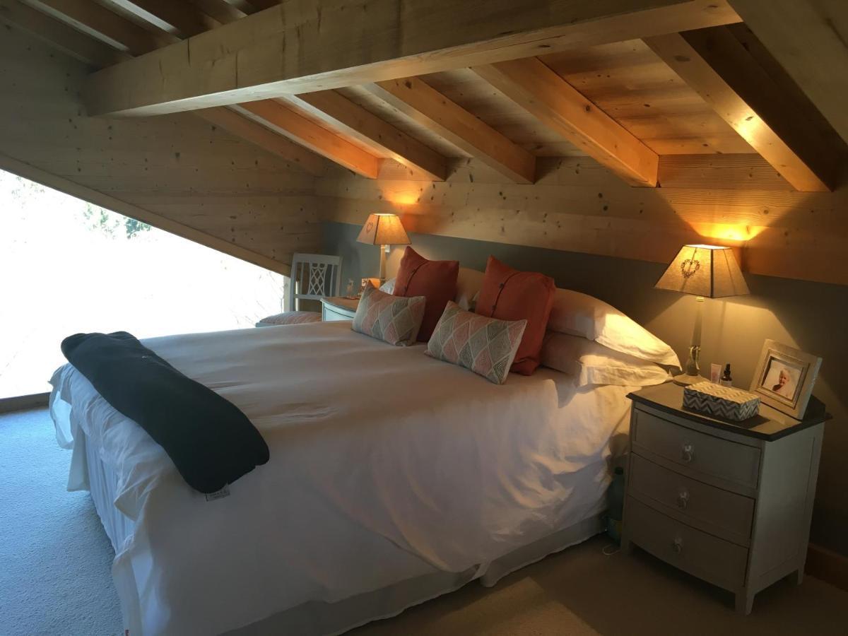莫尔济讷Chalet Chamois别墅 外观 照片